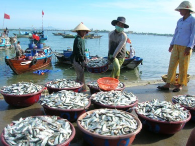 Khanh Hoa produces 9,500 MT of marine fish in Jan- Feb 2015
