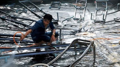 Use of Industry 4.0 technologies in aquaculture discussed