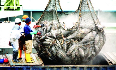 Technological advances offshore fisheries 