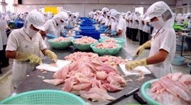 Fisheries Livelihoods Programme under review