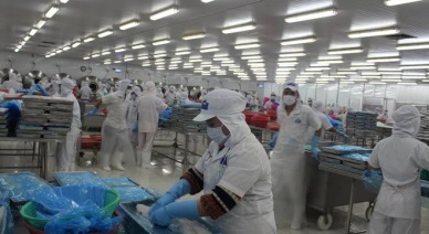 A promising year for Vietnam fisheries  