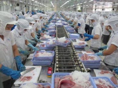 Vietnam seafood exports rose in the early months of 2016 
