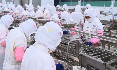 Circular 43/2010/TT-BNNPTNT: Amends and supplements Articles 16 and 17 of MARD