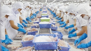 Garment, fishery firms plan production growth this year