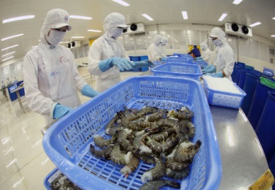Does the FTA VN-EAEU help increase shrimp exports to Russia?