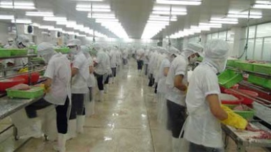 Seaprodex: Gross margin rose by 177% in QI/2017