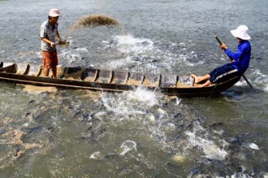Tien Giang: Seafood production in August up 22%