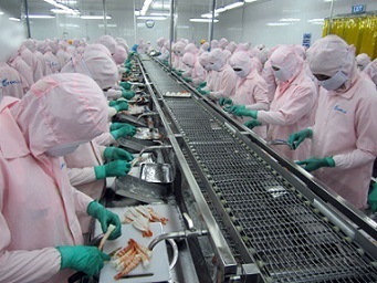 Vietnam restructures its fishery sector