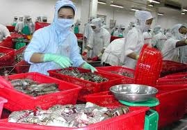 Ca Mau: total production reached 36,000 MT in October