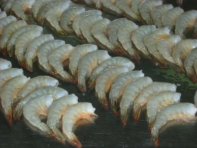 Average US shrimp import price up 45% in first quarter