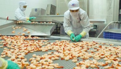 Vietnam shrimp exports to Korea: Take advantages from VKFTA