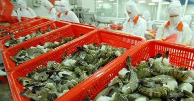 US: Rise in shrimp imports from Vietnam