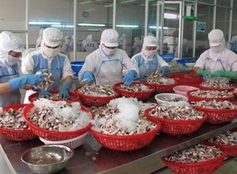 Seafood sector likely to grow on VN-EU FTA