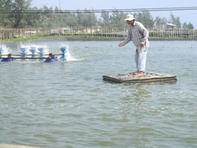 Hue to spend $52m on agriculture