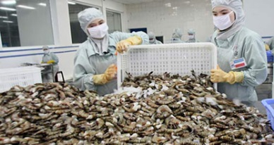 Bac Lieu: Up 64 percent in seafood exports 