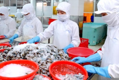 Vietnam black tiger price is more competitive in US