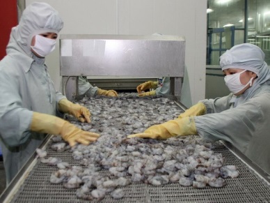 CIRCULAR 26/2016/TT-BNNPTNT: PROVIDING FOR THE QUANRANTINE OF AQUATIC ANIMALS AND ANIMAL PRODUCTS