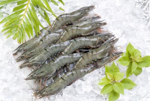 Tightening the control on Ethoxyquin in shrimp exported to Japan