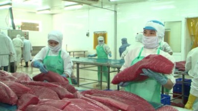 Khanh Hoa prevents IUU fishing by value chain