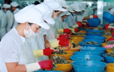 Vietnam seafood exports witnessed double digit growth after 10 years