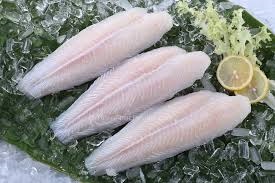 Pangasius companies continued to generate large profits in the first quarter 
