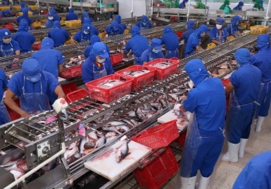 Aquatic export enjoys 29.5-percent growth in Jan-Feb