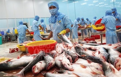Tra fish exports to exceed 2 billion USD