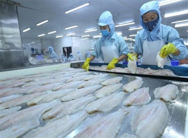 Tra fish exports to US enjoy strong surge