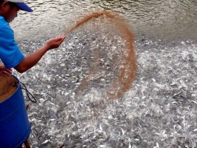 An Giang aims for over 1 billion USD in export value in 2030