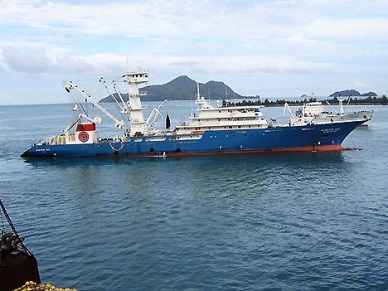 VASEP agrees with draft circular on import-export duty