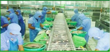 Travifaco boosting sales in domestic market