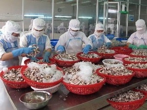 Tra Vinh: Certifying over 200 MT of marine fish exported to EU 