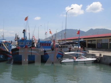 Thanh Hoa develops fishery logistics fleet