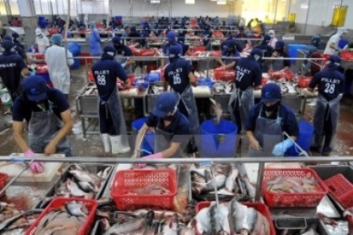 Veggies, seafood sectors to benefit from TPP