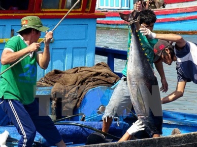 Vietnam’s tuna exports witness impressive growth