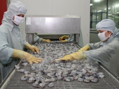 Bac Lieu sets up hi-tech shrimp farming area