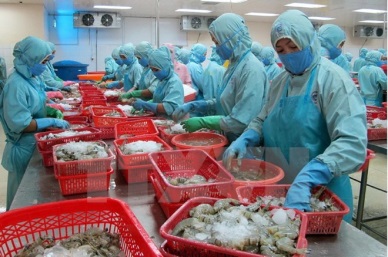 Export of aquatic products earns 1.5 billion USD in first quarter