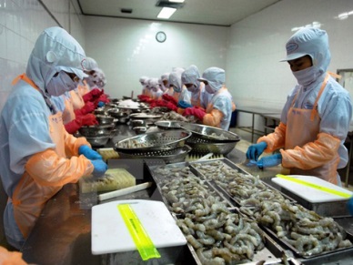 EU-Vietnam FTA to offer substantial benefits to both sides