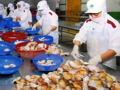 Vietnam’s bivalve mollusk exports to Portugal surged