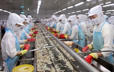 Factors help promote Vietnam shrimp exports in 2017