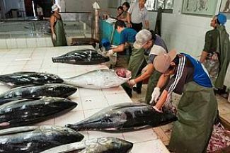 WCPFC lessens protections for Pacific tuna