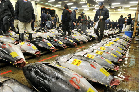 "Philippines may lose tuna markets"