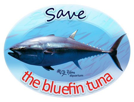 Greenpeace: Scrap Tuna Ads, Invest In Sustainability