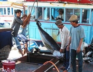 Dutch importer to join fishery improvement project in Vietnam