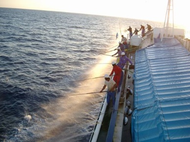 US Retailers Told To Buy MSC Skipjack Tuna