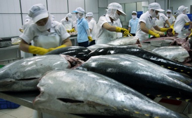 Vietnam tuna exports hard to touch US$600 million 