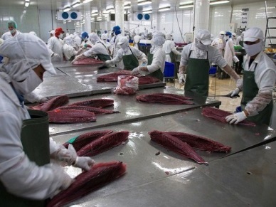 Tuna exports to Russia rocket