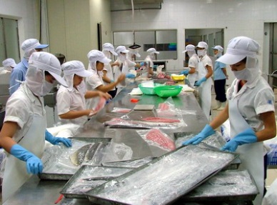 20-fold rise in Vietnam exports of processed tuna to Italy