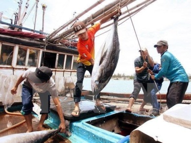 Vietnam tuna exports exceed yearly target