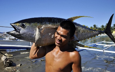 Philippine Tuna Congress Wants To Energize The Sector 